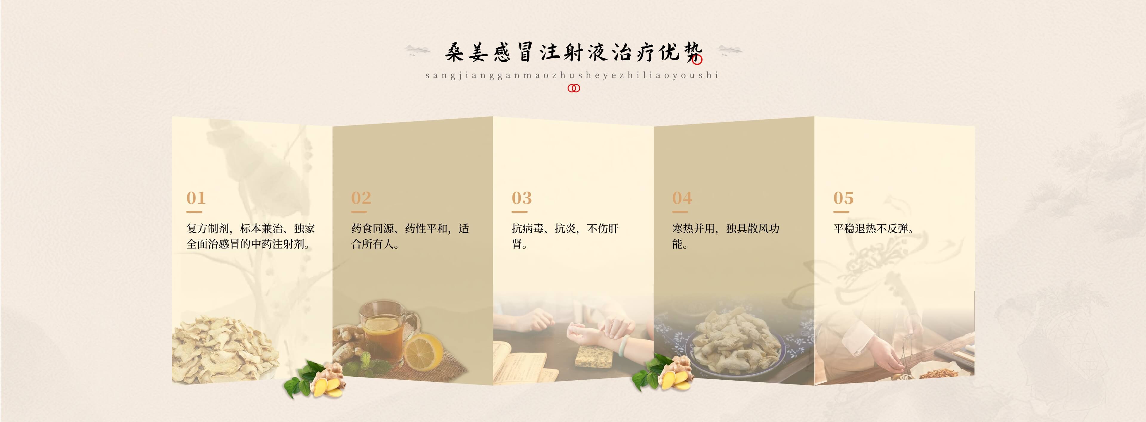 桑姜感冒注射液