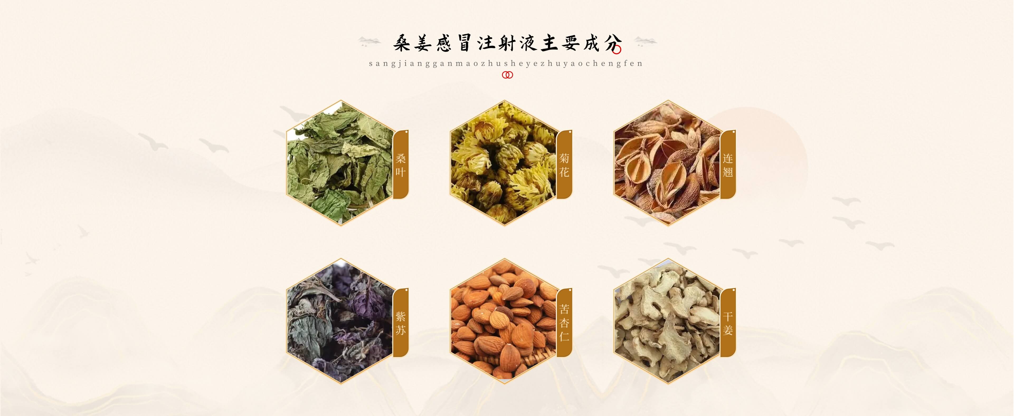 桑姜感冒注射液