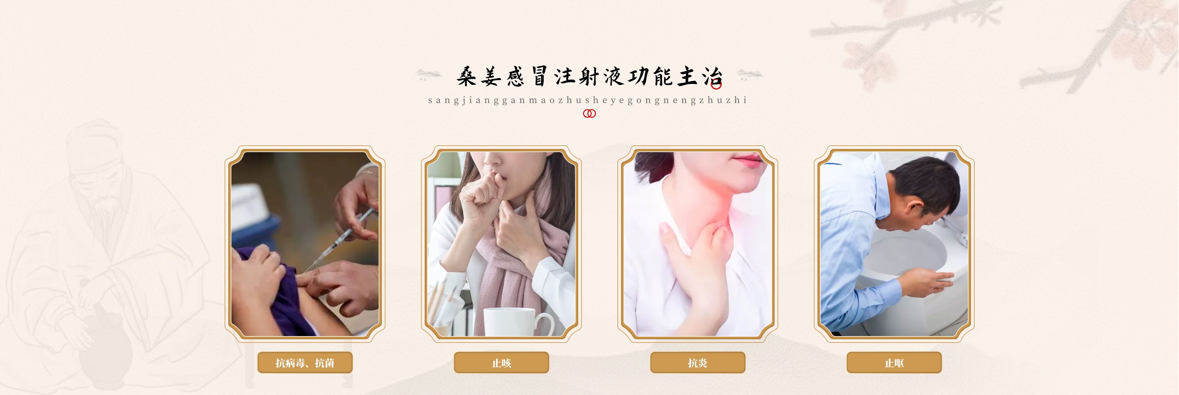 桑姜感冒注射液